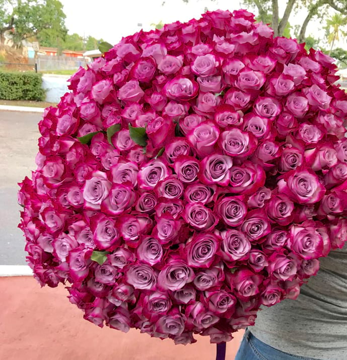 300 Deep Purple Roses Premium Rose Bouquet